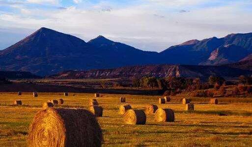 生物質(zhì)發(fā)電作為新世紀的可替代能源之一，發(fā)展?jié)摿驮鏊賹⒂瓉砀叻???