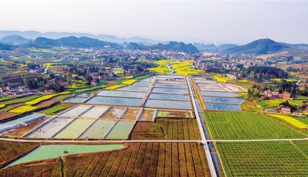 河北省政府出臺(tái)《關(guān)于做大做強(qiáng)農(nóng)業(yè)產(chǎn)業(yè)化龍頭企業(yè)的意見》，提出河北省農(nóng)業(yè)產(chǎn)業(yè)化發(fā)展目標(biāo)