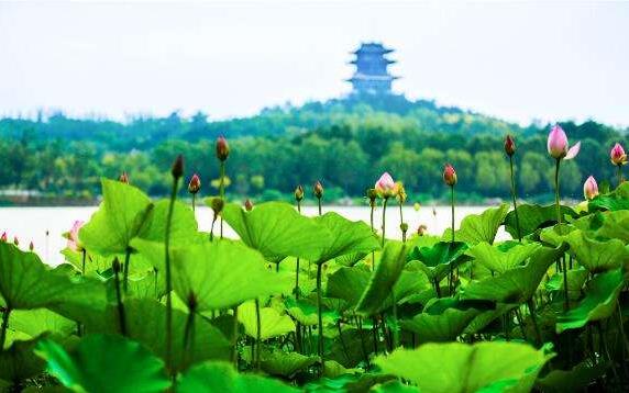 中國(guó)文旅產(chǎn)業(yè)的市場(chǎng)潛力龐大，未來(lái)市場(chǎng)空間有望達(dá)到2萬(wàn)億元