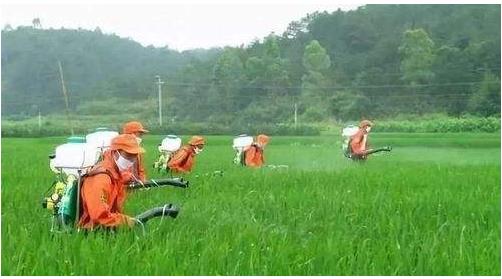 農(nóng)藥行業(yè)仍然具有較大的發(fā)展空間，高效、低毒、低殘留將是其發(fā)展方向