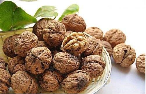 我國只是核桃生產大國，而不是核桃生產強國