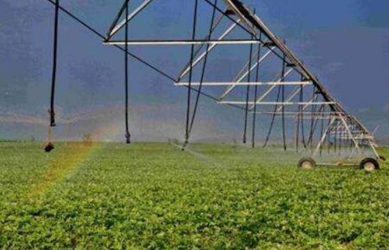 中共中央辦公廳、國(guó)務(wù)院辦公廳印發(fā)《關(guān)于促進(jìn)小農(nóng)戶和現(xiàn)代農(nóng)業(yè)發(fā)展有機(jī)銜接的意見(jiàn)》