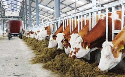 專業(yè)化、環(huán)保化、集約化和規(guī)模化是畜牧業(yè)發(fā)展必然趨勢(shì)