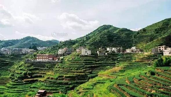 福建省農(nóng)業(yè)農(nóng)村廳建設(shè)銀行福建省分行聯(lián)合發(fā)布關(guān)于發(fā)展普惠金融助力鄉(xiāng)村振興戰(zhàn)略的意見