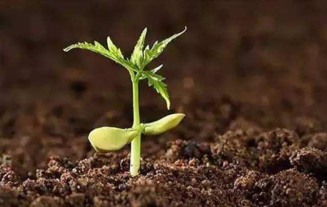 2019年土壤修復(fù)行業(yè)發(fā)展分析