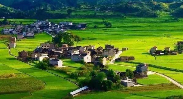 去年全國鄉(xiāng)村旅游總?cè)舜螢?0.9億人次，同比增加9.7%