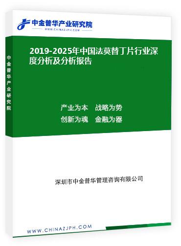 2019-2025年中國法莫替丁片行業(yè)深度分析及分析報告