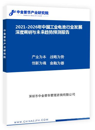 2021-2026年中國工業(yè)電池行業(yè)發(fā)展深度調(diào)研與未來趨勢預(yù)測報(bào)告